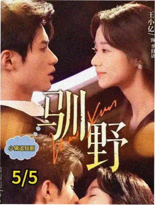 与狼共舞电影踢鸟酋长角色剧照